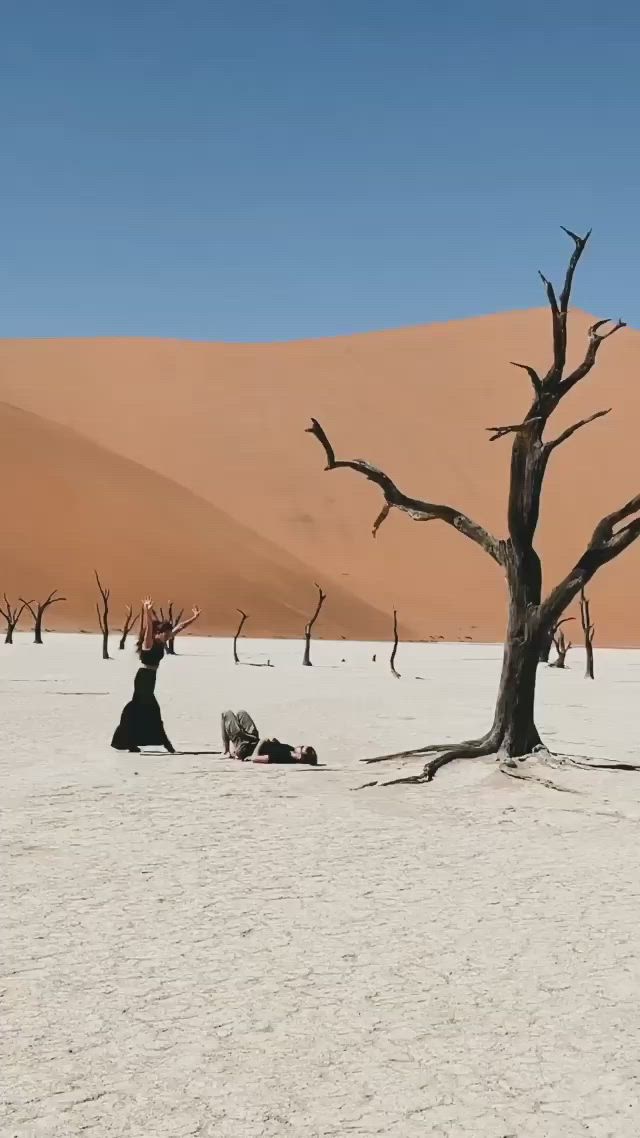 This may contain: two people doing yoga in the desert with bare trees and sand dunes behind them on a sunny day