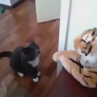 This may contain: a black and white cat standing next to a stuffed tiger