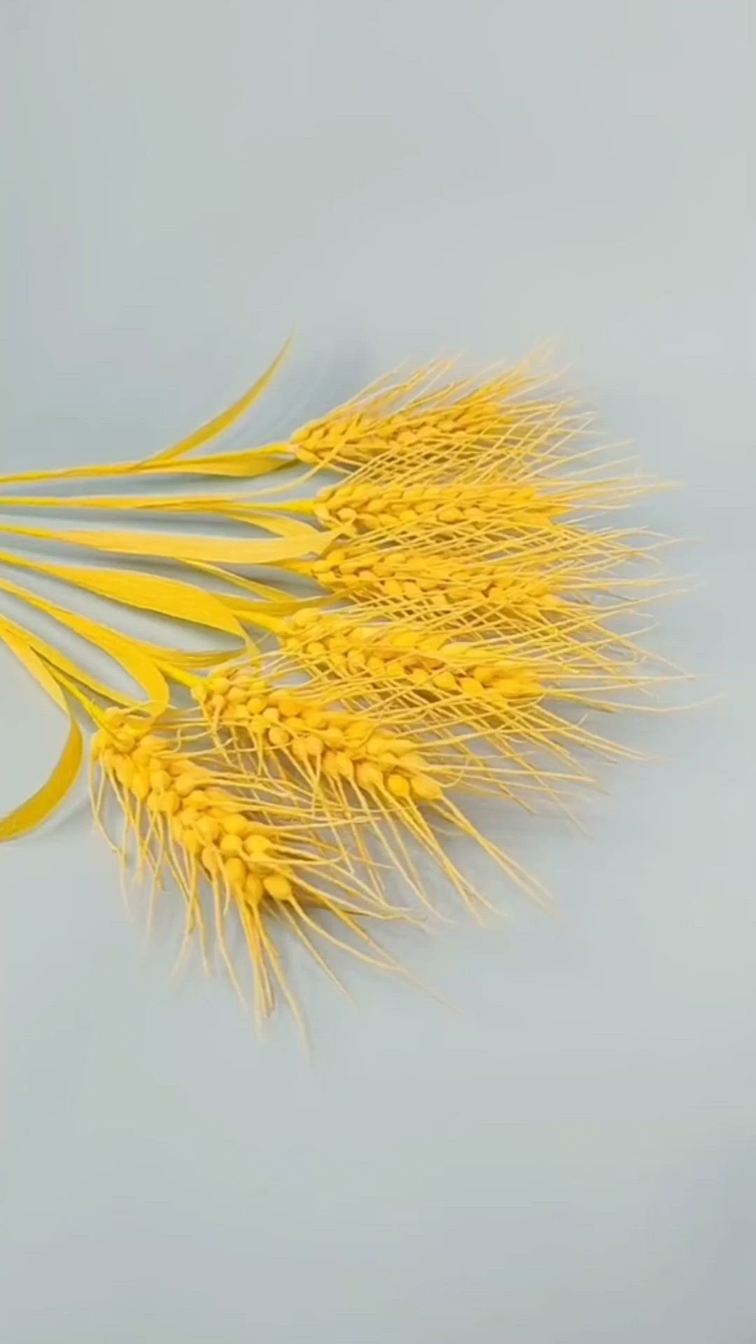 This may contain: several yellow stalks of wheat on a light blue background