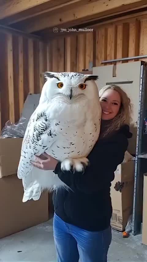 This may contain: a woman holding an owl in her arms