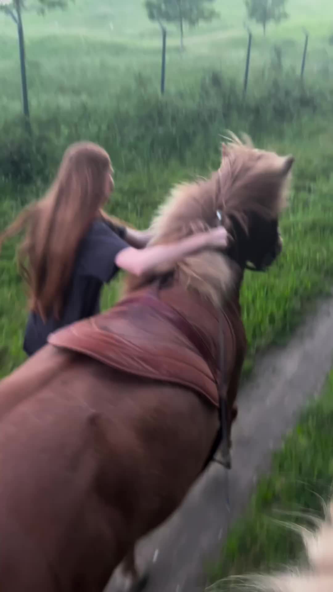 This may contain: a woman riding on the back of a brown horse down a dirt road next to a lush green field