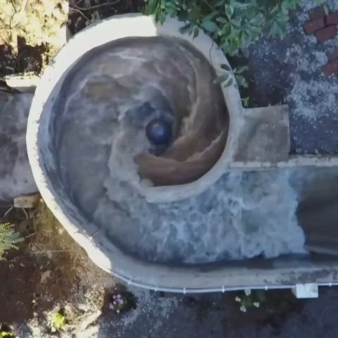 This may contain: an old toilet is sitting outside on the ground next to some plants and dirt with a blue ball in it's center