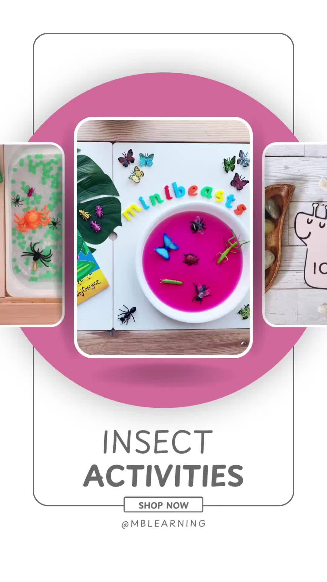 This may contain: an advertisement for insect activities is shown in three different pictures with the words insect activities on them