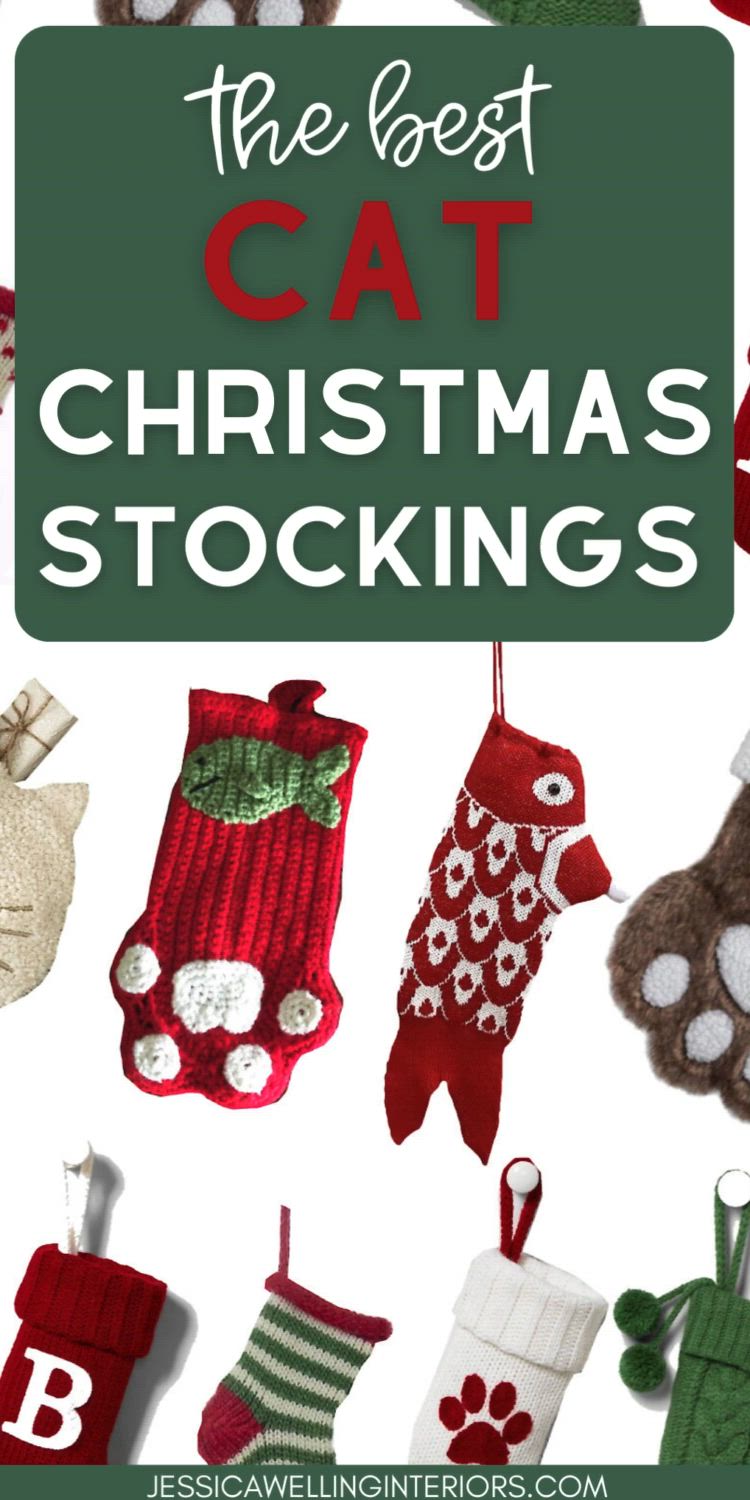 This may contain: the best cat christmas stockings for cats