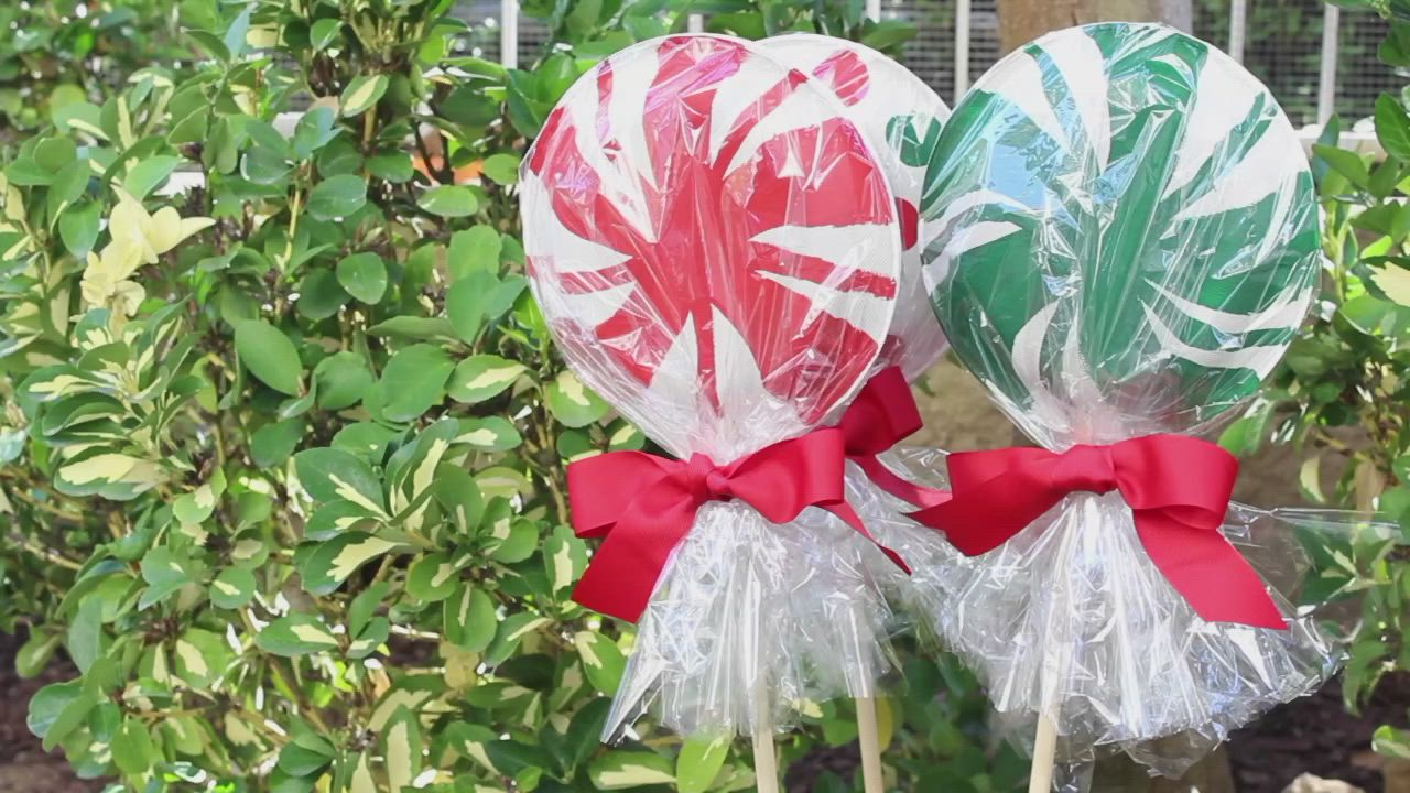 This may contain: two lollipops wrapped in cellophane and tied with red ribbon are sitting on top of each other