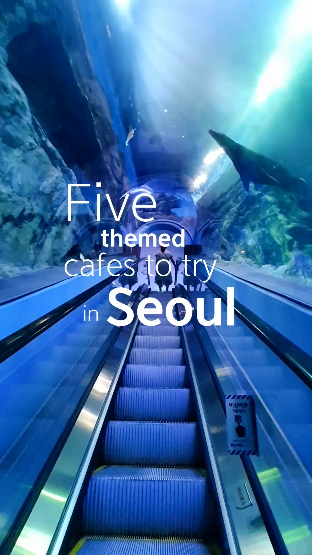 This may contain: an escalator with the words five themed gates to try in seoul