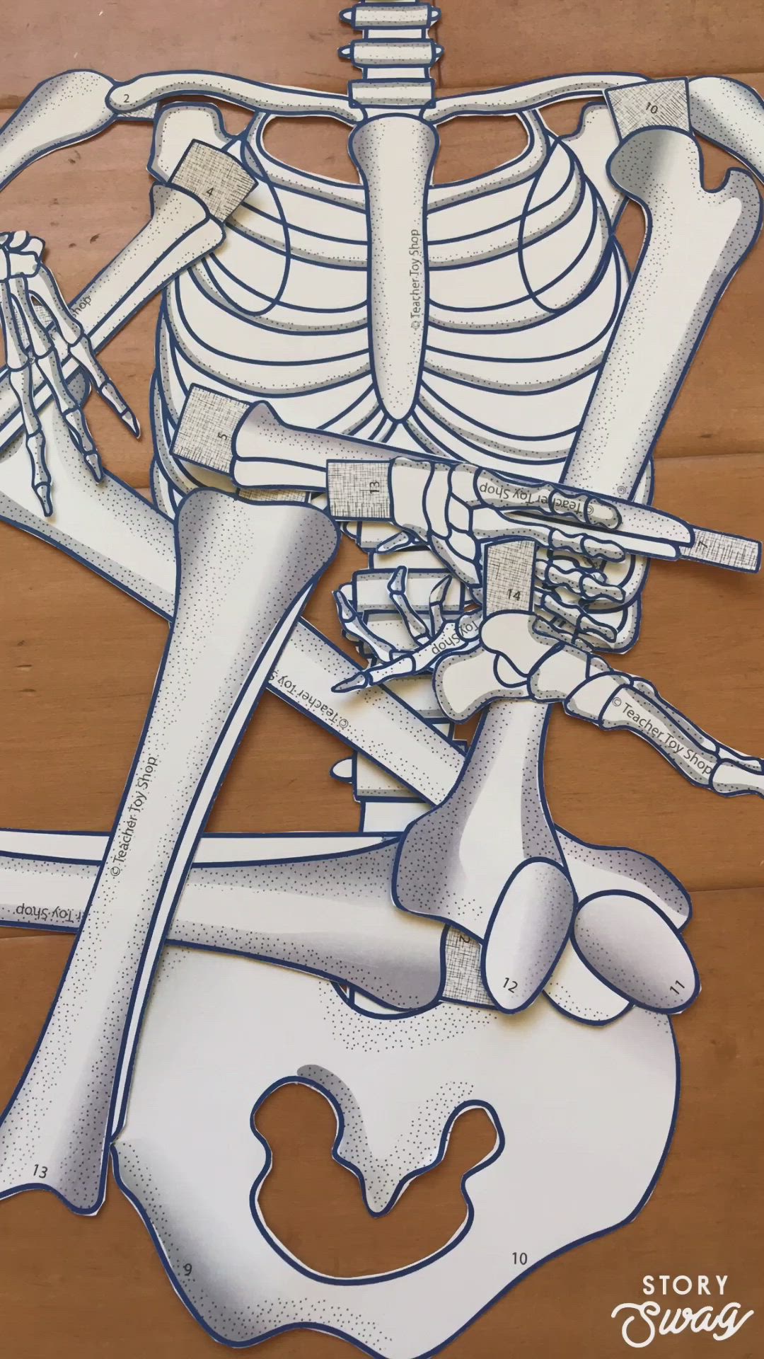 This may contain: a drawing of a skeleton with multiple parts attached to it's neck and shoulder