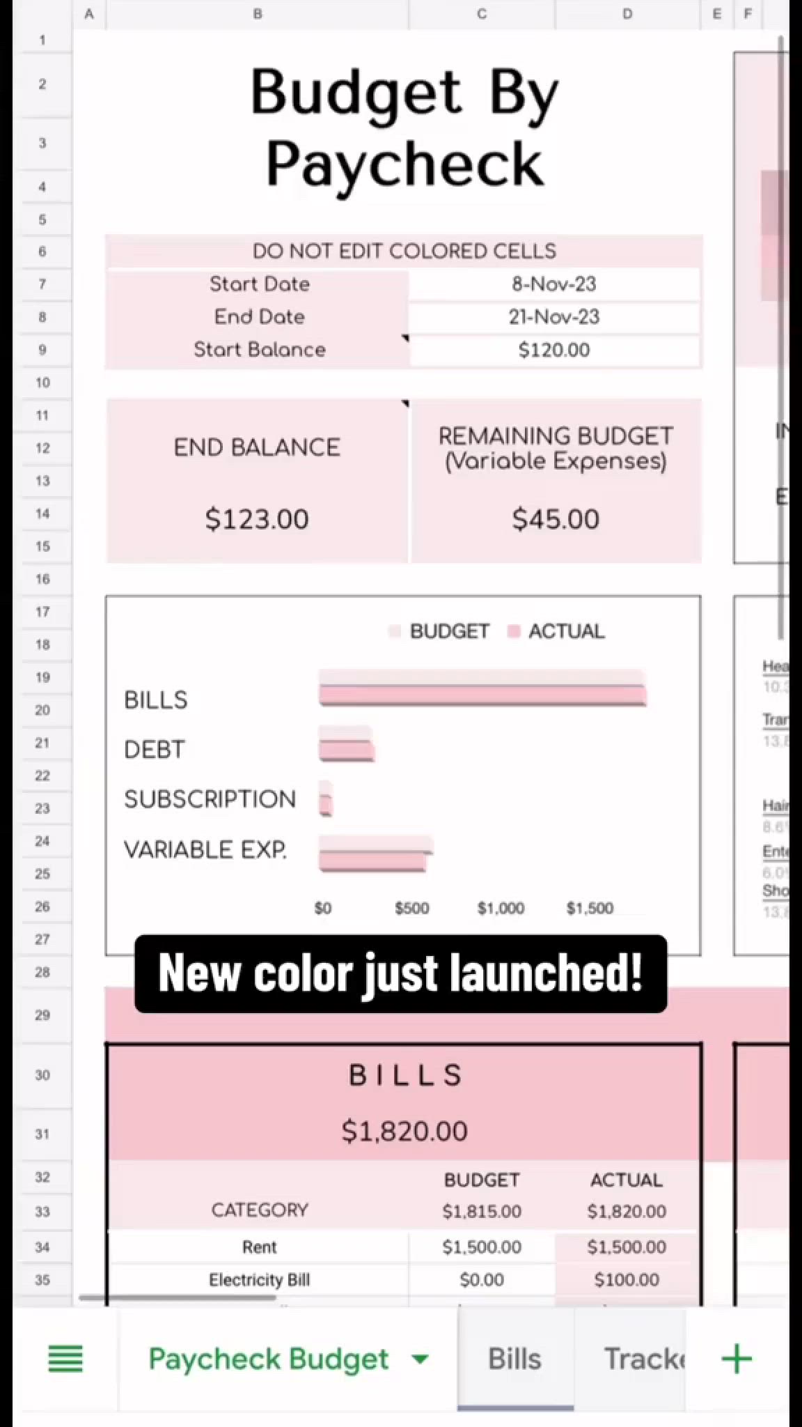 This may contain: a pink and white checkbook with the words, budget by paycheck