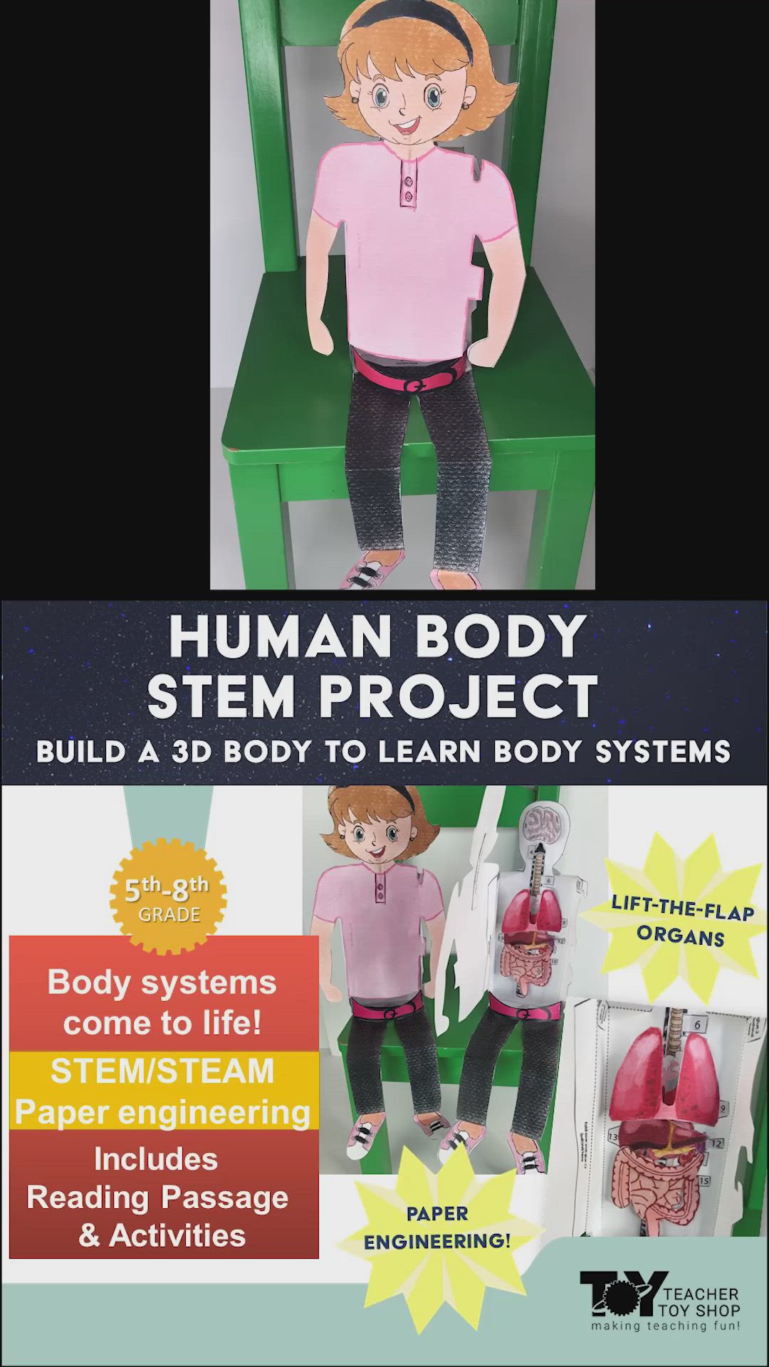 This contains: 3D paper girl sitting on a small green chair. Hands swing open the girl's shirt to reveal paper organs (brain, spinal cord, lungs, heart, stomach, spleen, liver, gallbladder kidneys, etc.) inside. Hands lift the paper organs to reveal more human body organs beneath. Scene switches to hands showing the assembly of the 3D body model. Then it switches back to the same first scene of the paper girl on the chair with the hand opening the front shirt flap to reveal the internal organs.