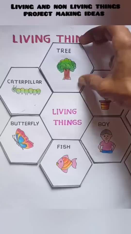 This may contain: a hand is pointing to the living things on a hexagonal diagram with words