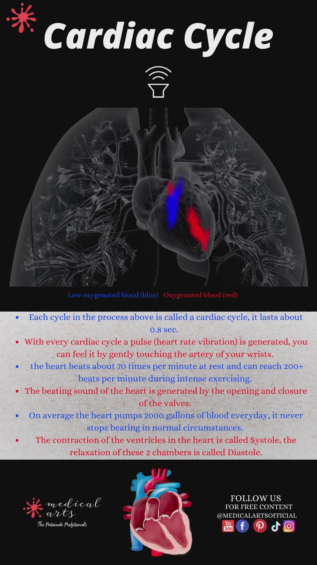 This may contain: the heart and lungs are depicted in this poster