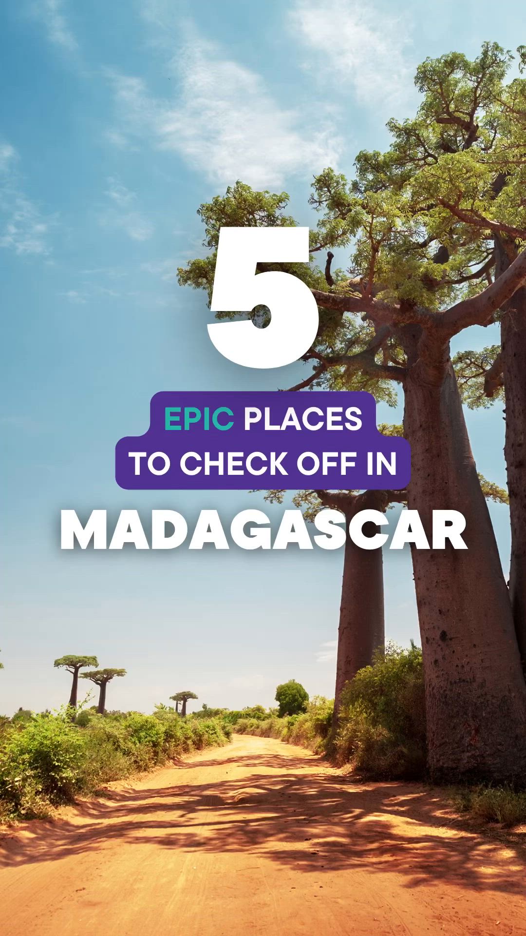 This may contain: a dirt road surrounded by trees with the text 5 epic places to check off in madagascar