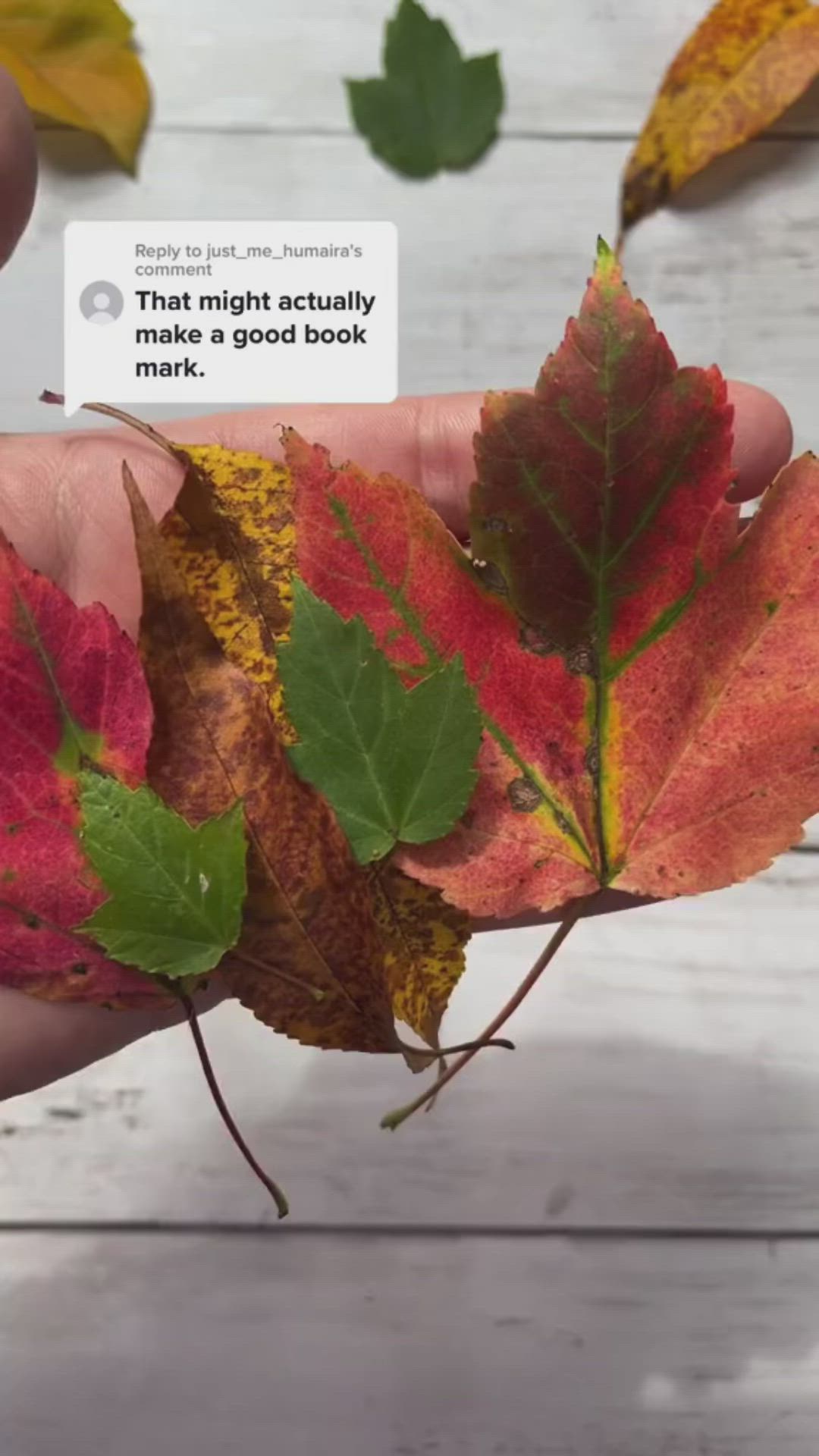 This may contain: a hand is holding some autumn leaves with a red bow on it and another leaf in the background