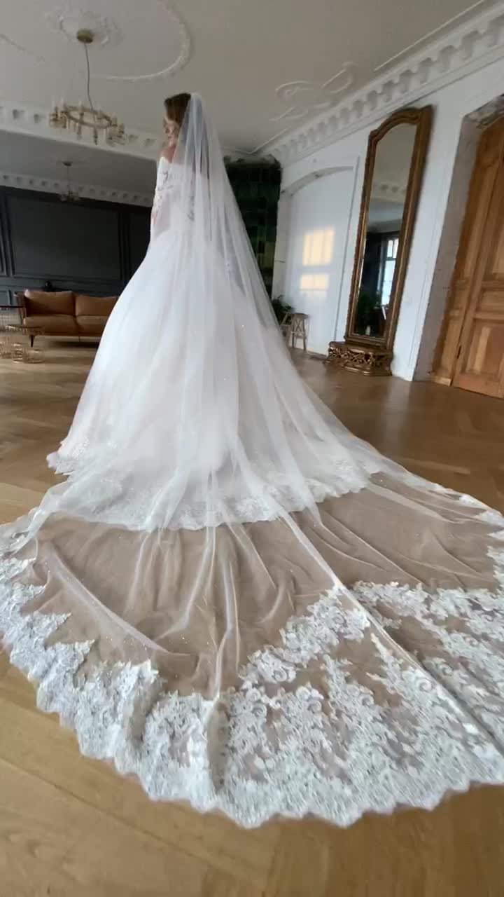 This contains: Off shoulders beaded floral lace long sleeve blush pink princess fairytale wedding dress with long train