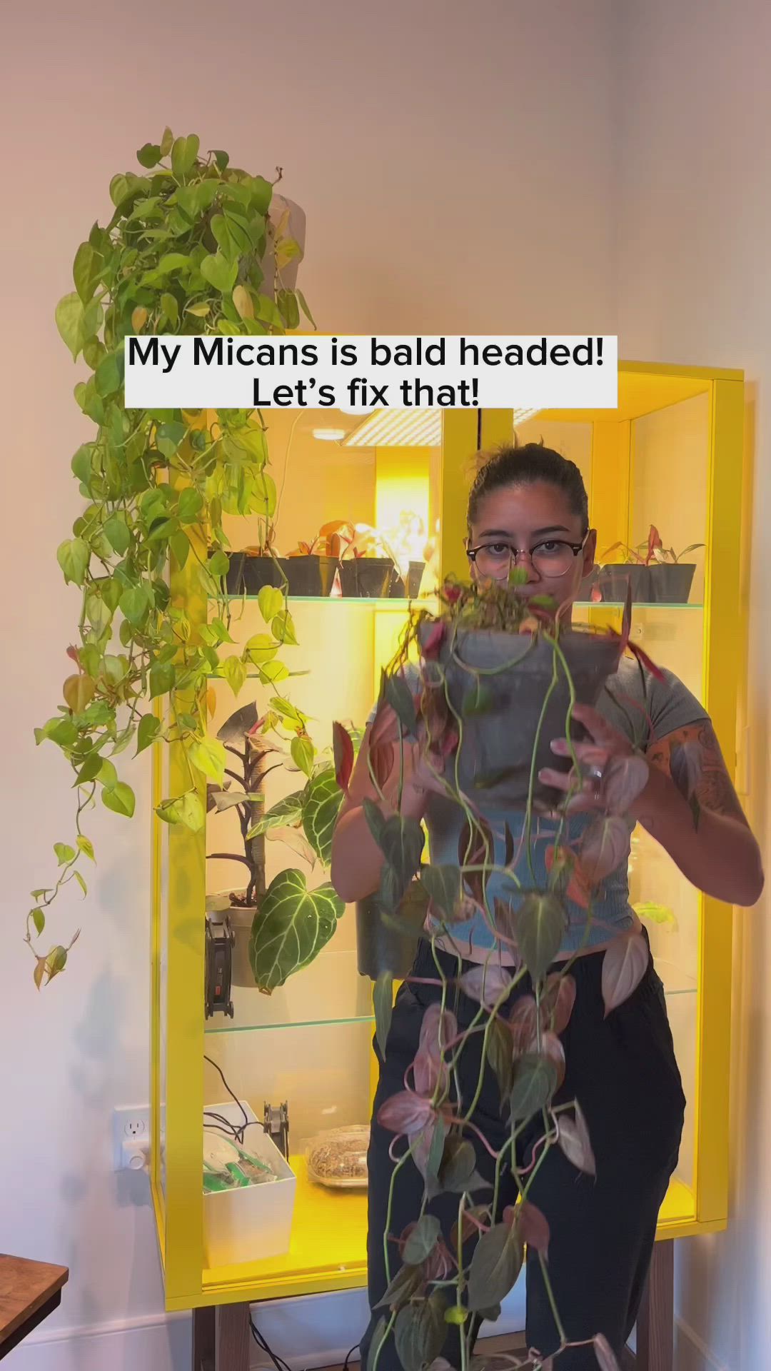 This may contain: a woman standing in front of a yellow cabinet with plants growing out of it and the caption reads, my micans is bad headed let's fix that