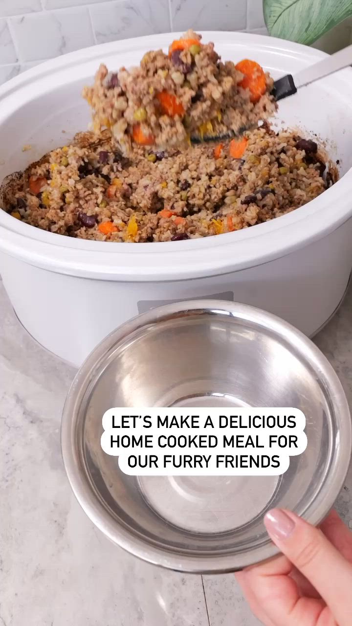 This may contain: a person holding a bowl with food in it and the words let's make a delicious meal if your furry friends