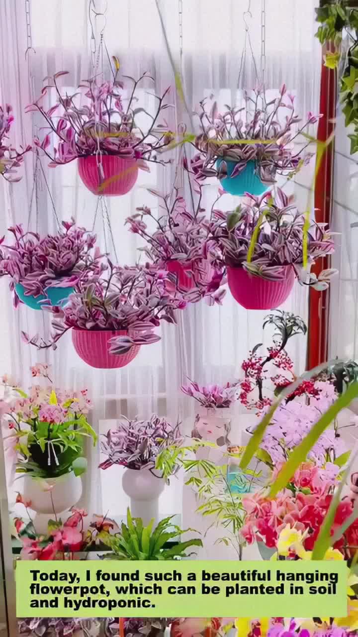 This may contain: flowers are hanging from the ceiling in front of a window with words above them that read today i found such a beautiful hanging flowerpotch can be planted in soil