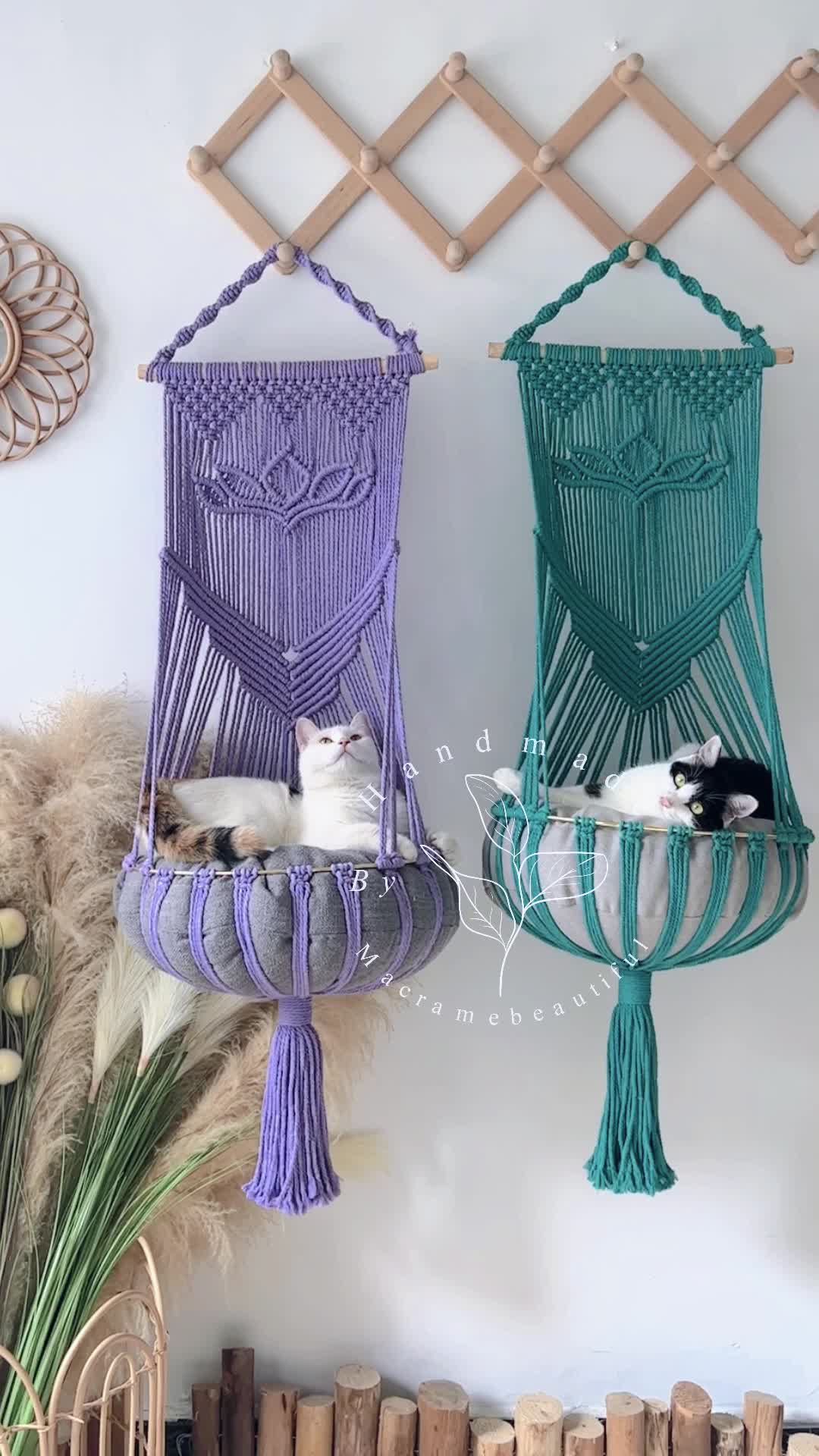 This may contain: two cats are sitting in hammocks hanging on the wall