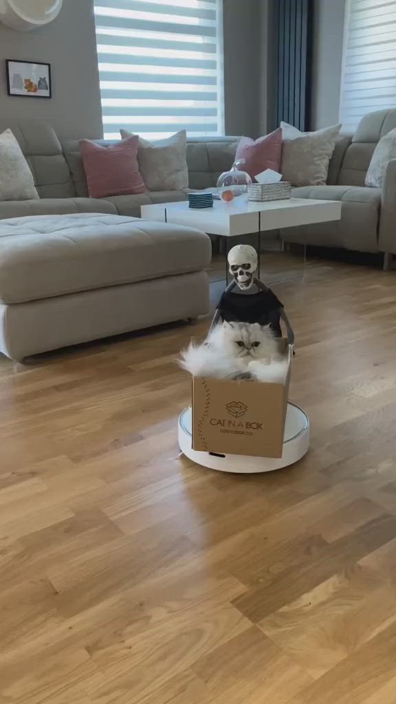 This may contain: a dog is sitting in a box on the floor and wearing a skull mask with its head sticking out