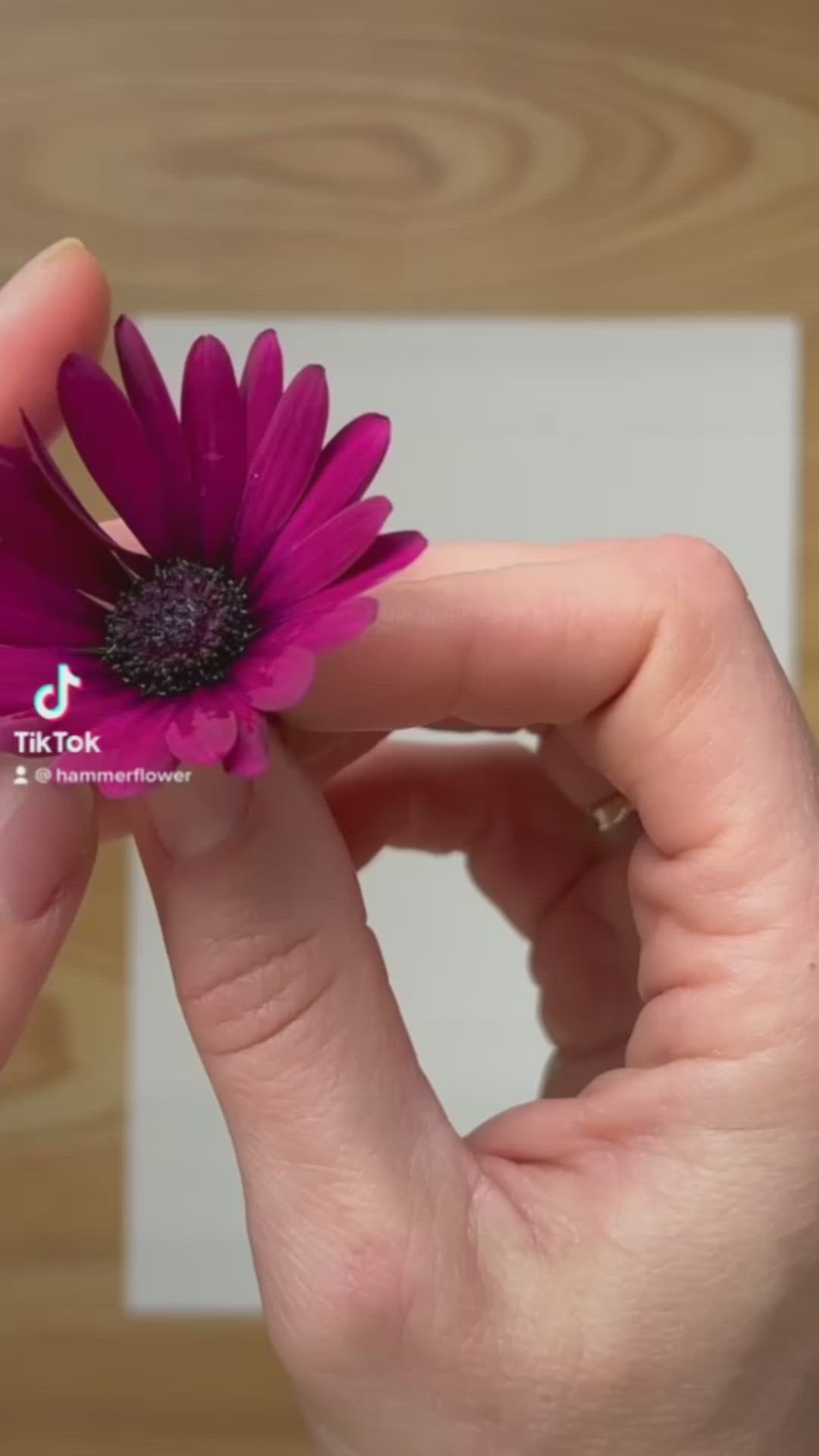 This may contain: a person is painting flowers on a piece of paper with watercolors and ink