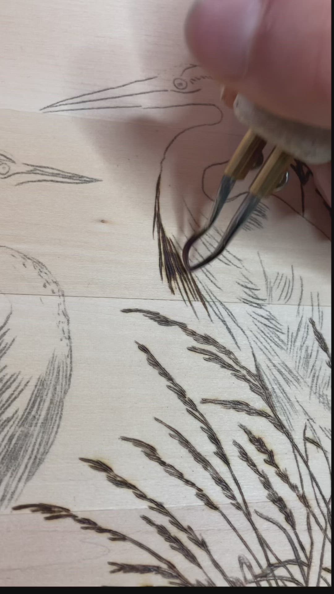 This may contain: someone is drawing on wood with pencils and some grass in the foreground, while another hand holds a pen