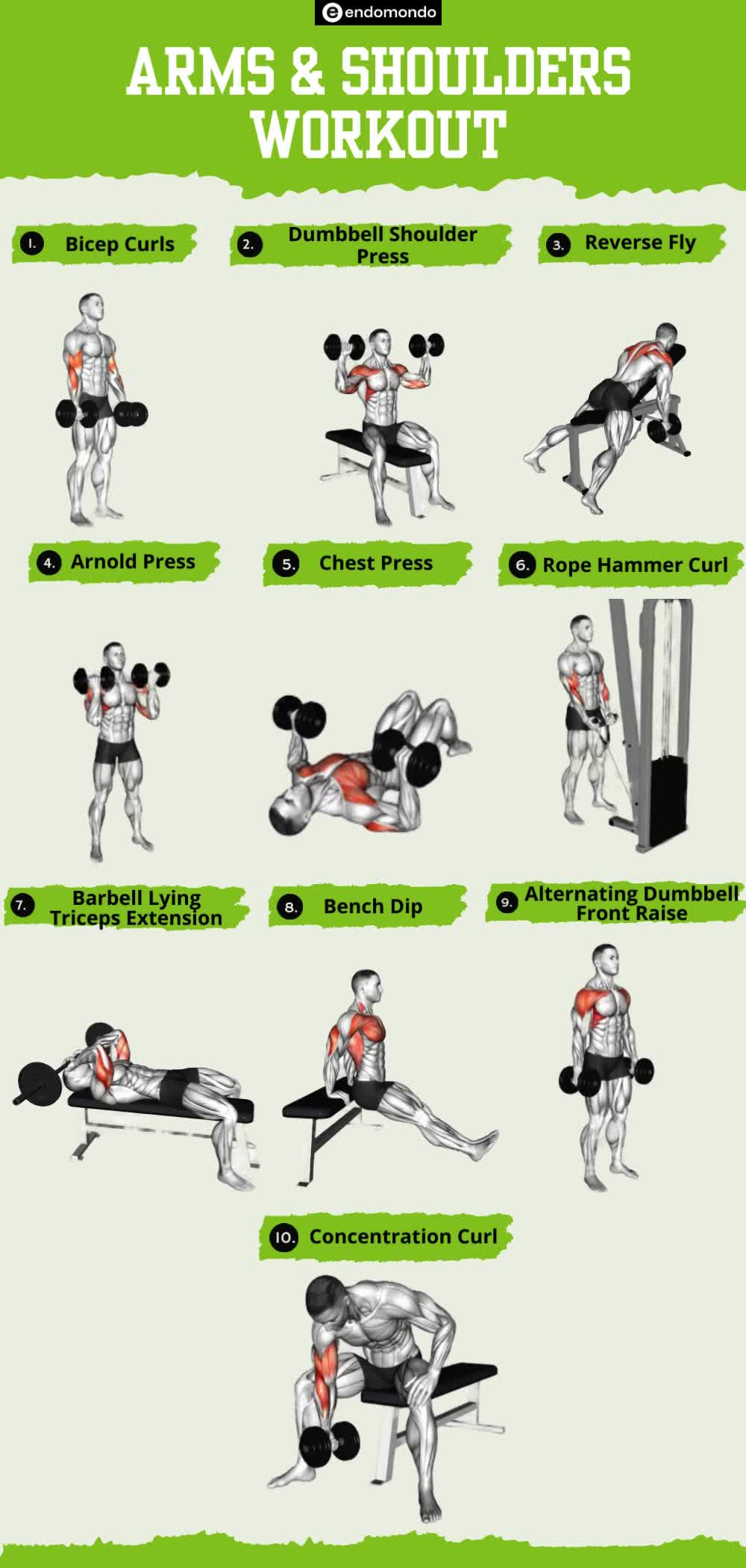 This may contain: the arm and shoulder workout chart