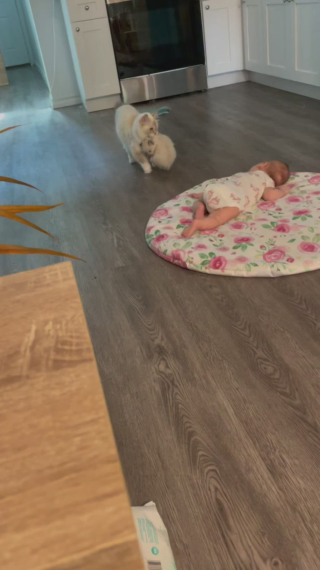 This may contain: a baby laying on top of a rug in a kitchen