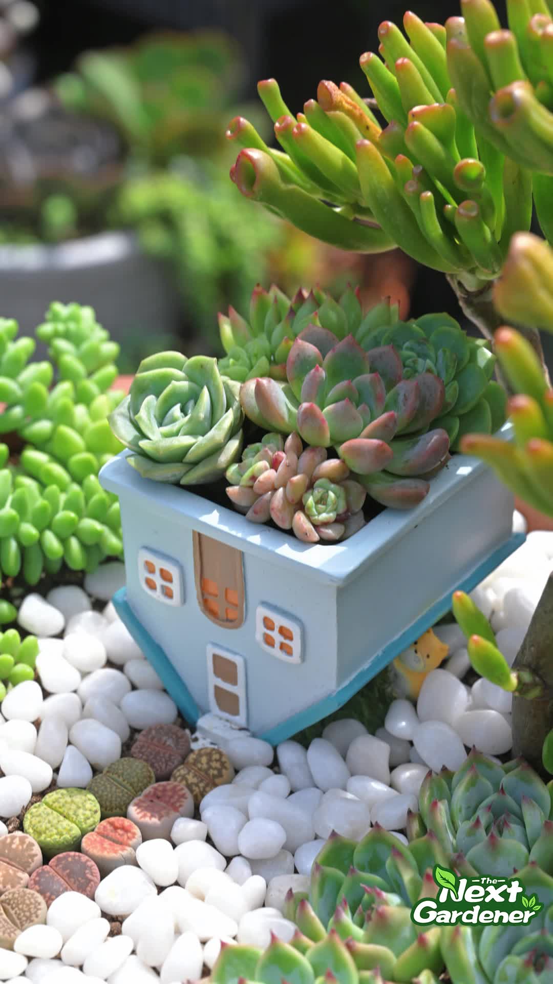 This may contain: there is a small house shaped planter with succulents in it on the ground