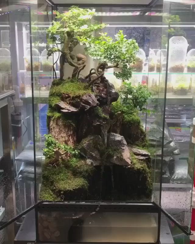 This may contain: a display case filled with lots of plants and animals on top of moss covered rocks