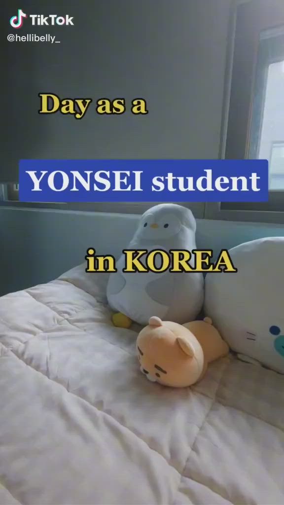 This may contain: two stuffed animals sitting on top of a bed in front of a window with the words, day as a yonsei student in korea