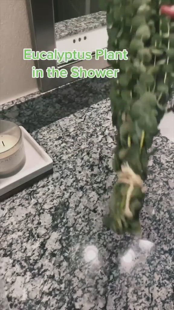 This contains: hanging fresh eucalyptus in the shower