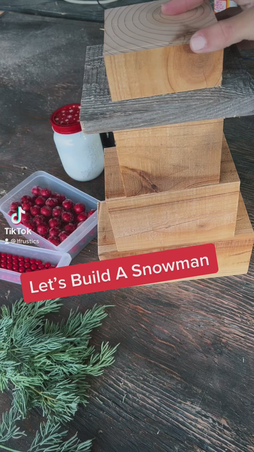 This may contain: a person is holding a piece of wood with berries on it and the words let's build a snowman