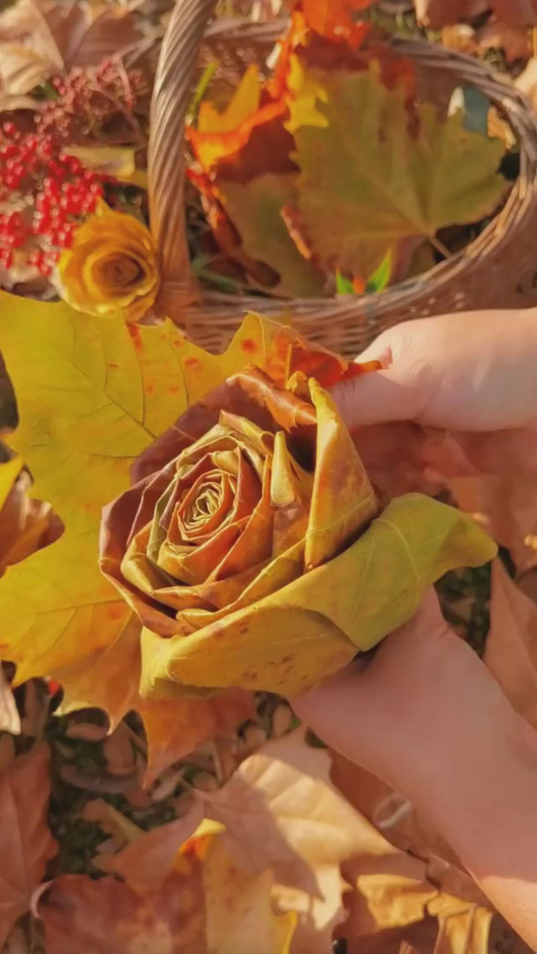 This may contain: two hands holding onto a yellow rose in the leaves on the ground with autumn foliage around it