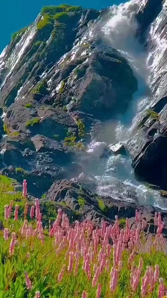 This may contain: wildflowers growing on the side of a mountain with water coming out of it