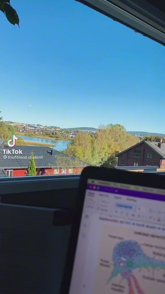 This may contain: a laptop computer sitting on top of a desk in front of a window with a view of buildings