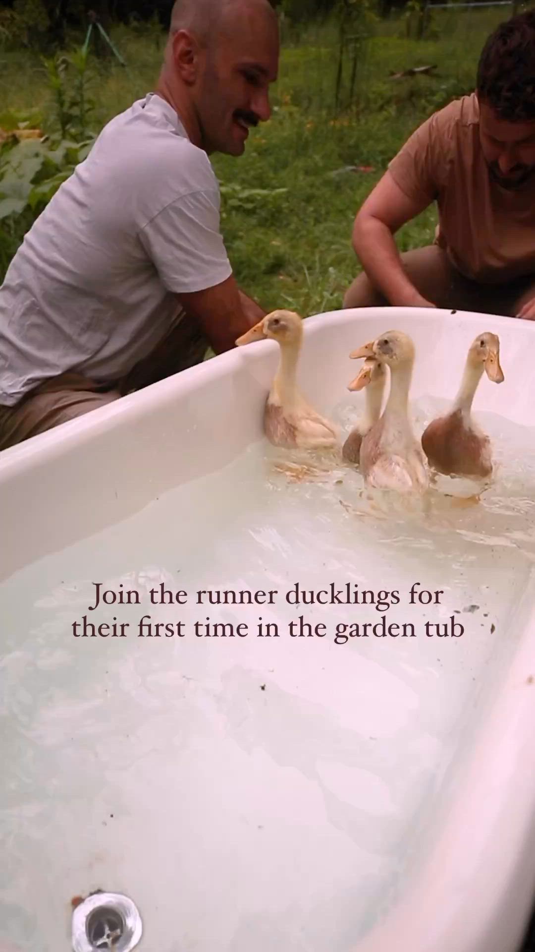 This may contain: two men sitting in a bathtub with three ducks