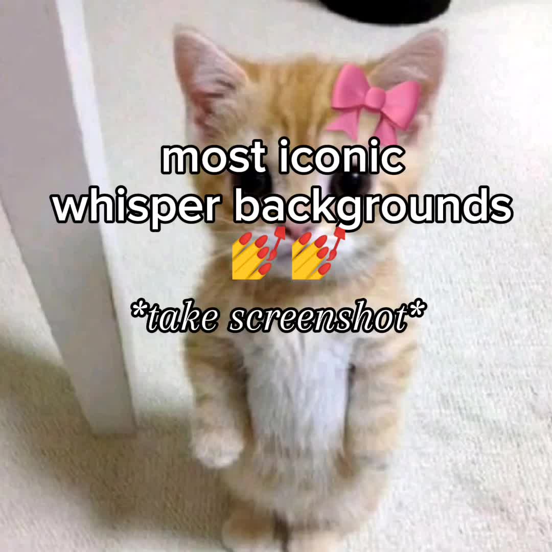 This may contain: an orange and white cat with a pink bow on it's head