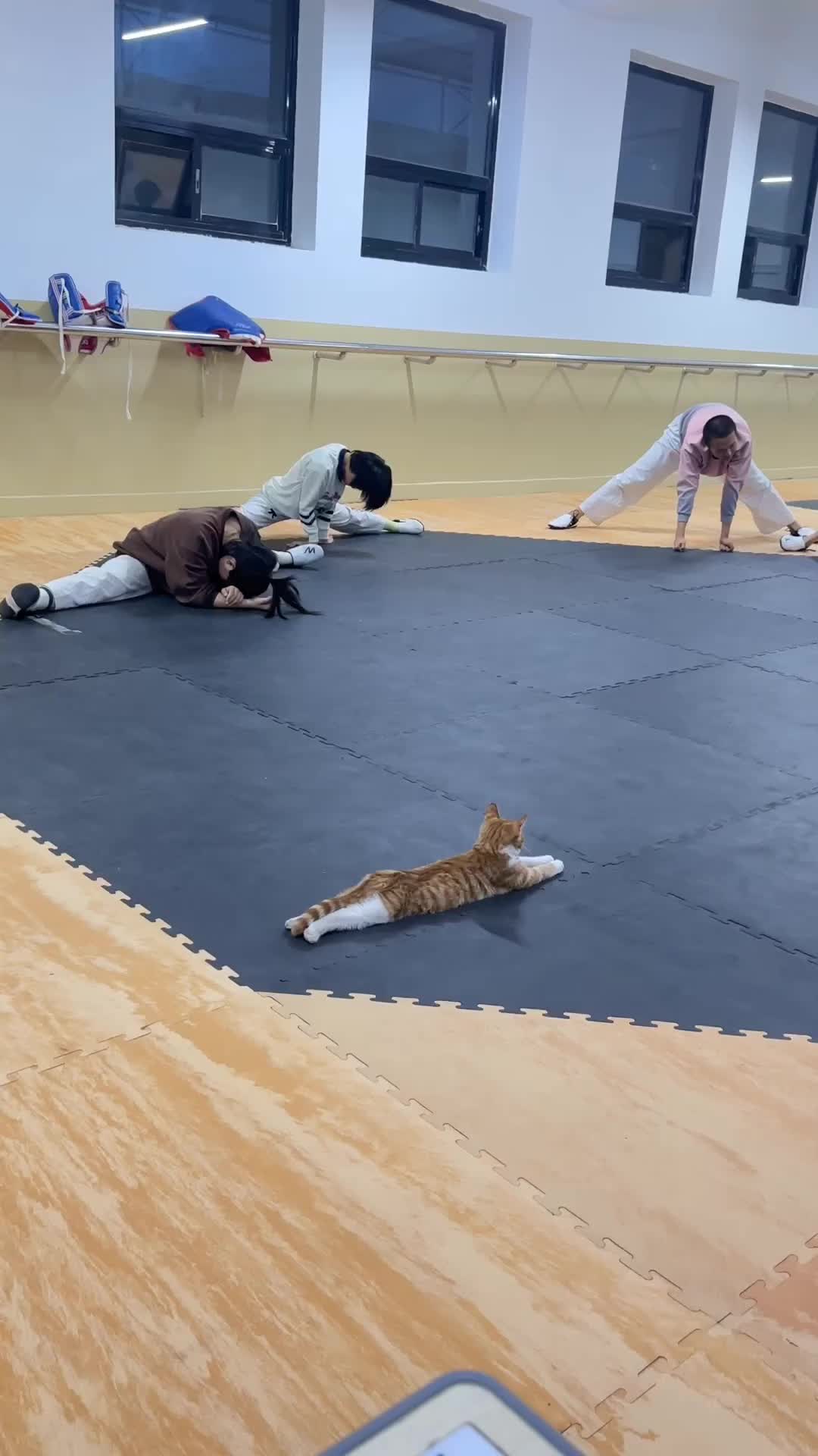 This may contain: three people and a cat laying on the floor in an indoor area with wooden floors