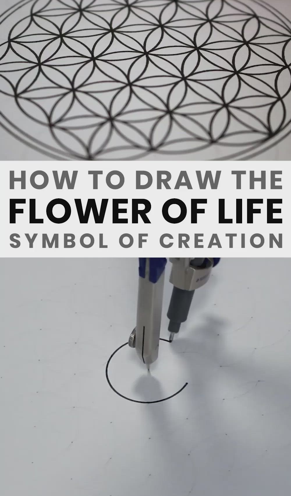 This may contain: a flower of life tray is shown with the words how to draw the flower of life symbol