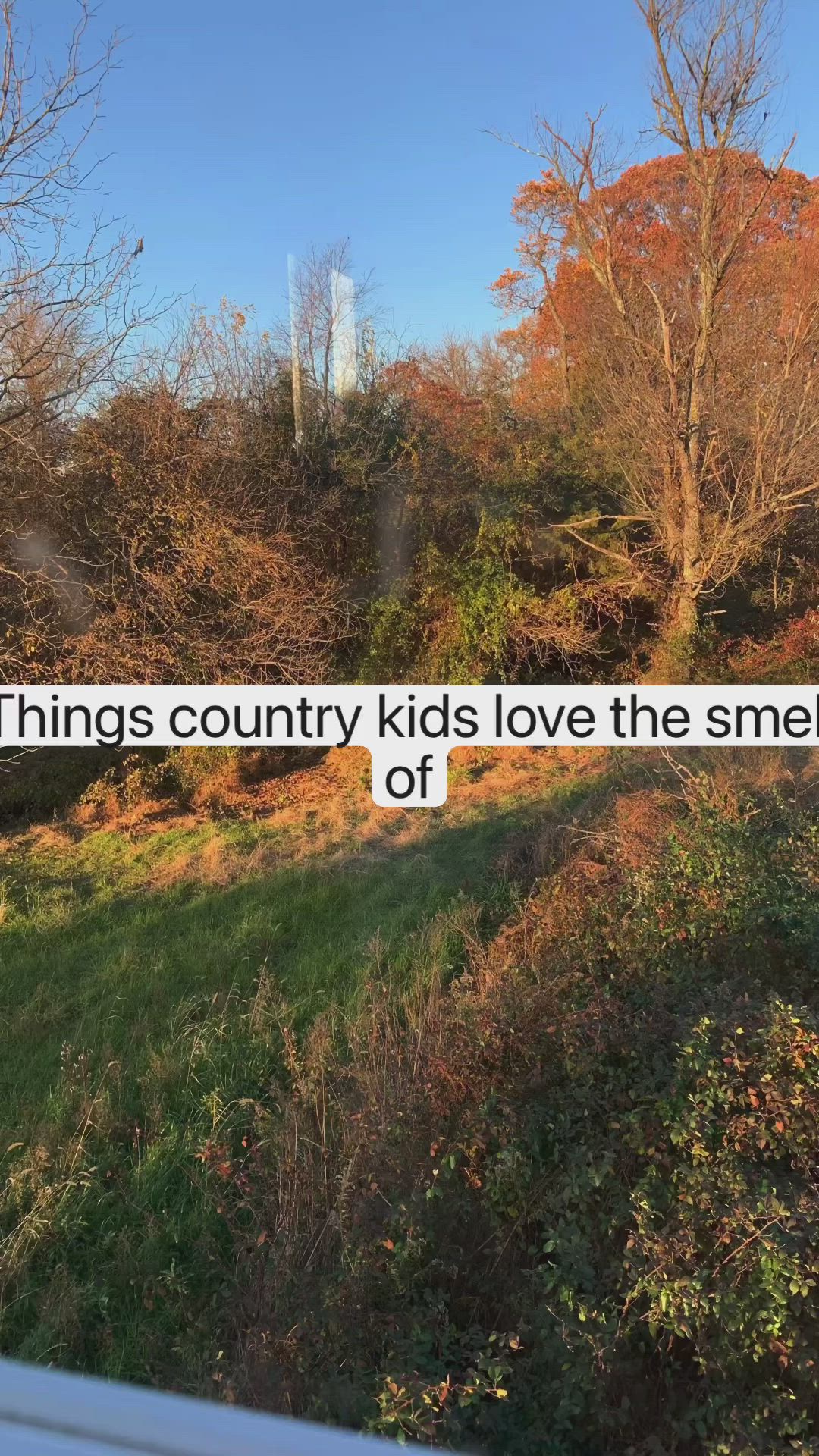 This may contain: a sign that says things country kids love the smell of autumn leaves and grass in front of some trees