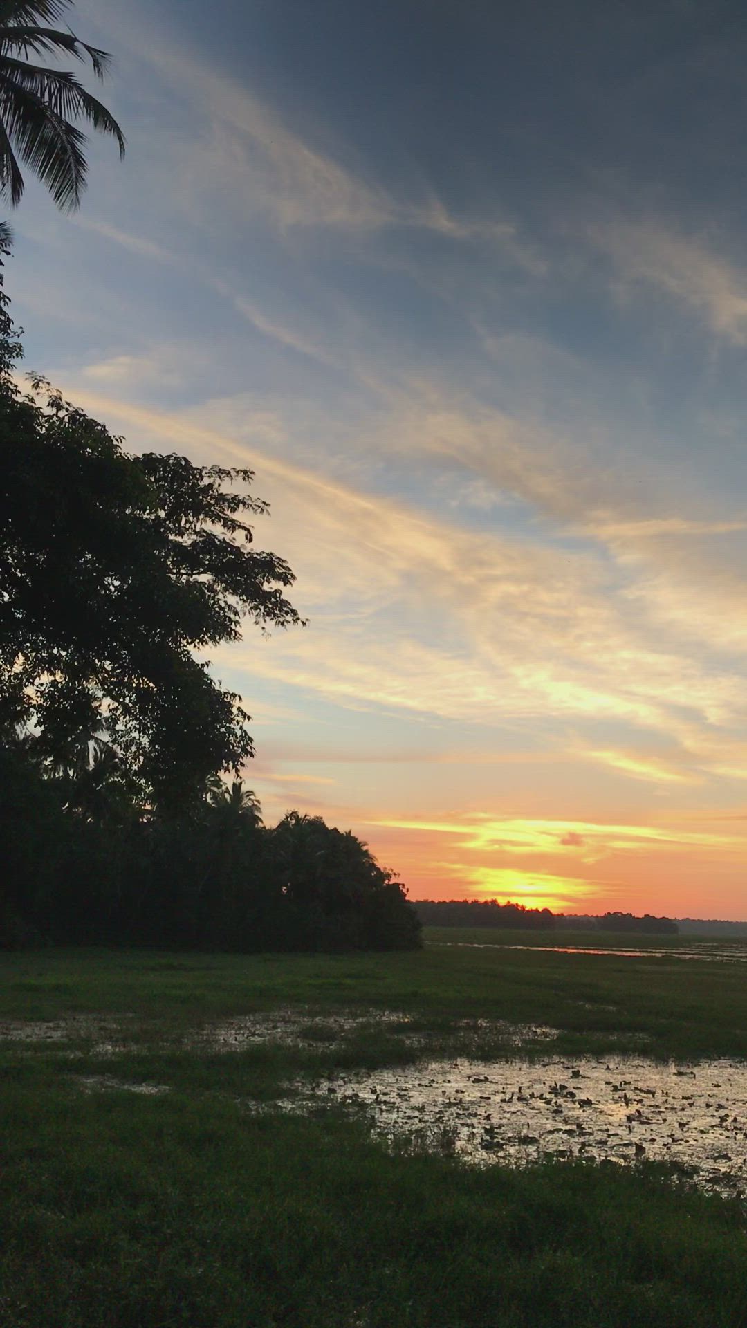 This may contain: the sun is setting over an open field with water and palm trees in the foreground