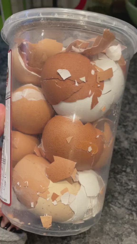 This may contain: eggshells are in a plastic container on a baking sheet with the words egg shell aluminum for homemade dog food