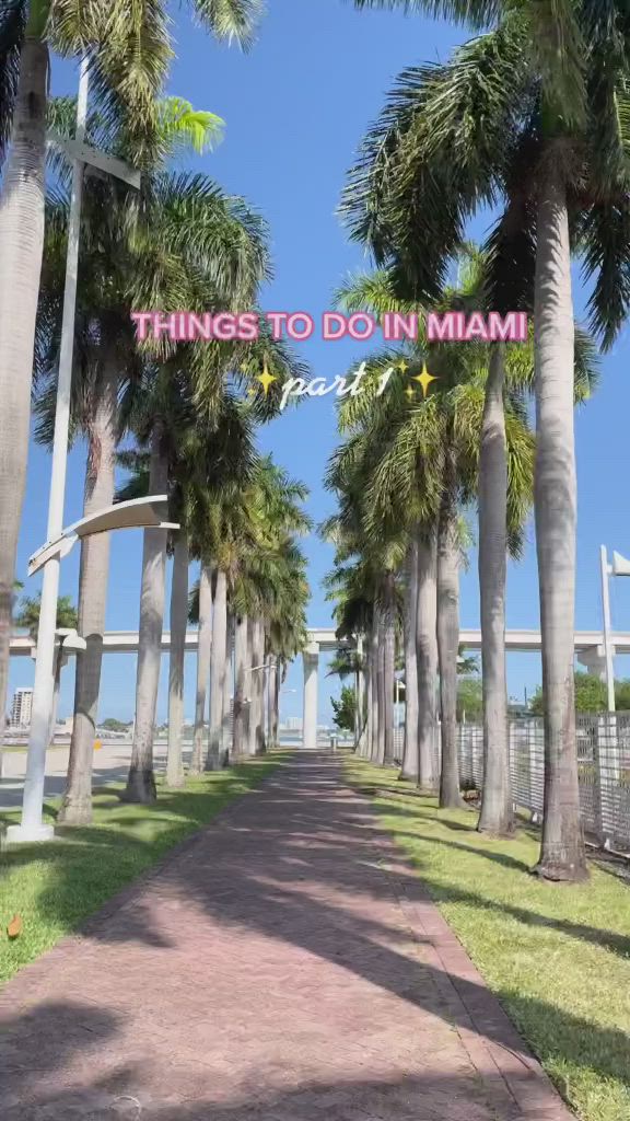 This may contain: palm trees line the sidewalk in front of a fenced area with a sign that reads things to do on miami party