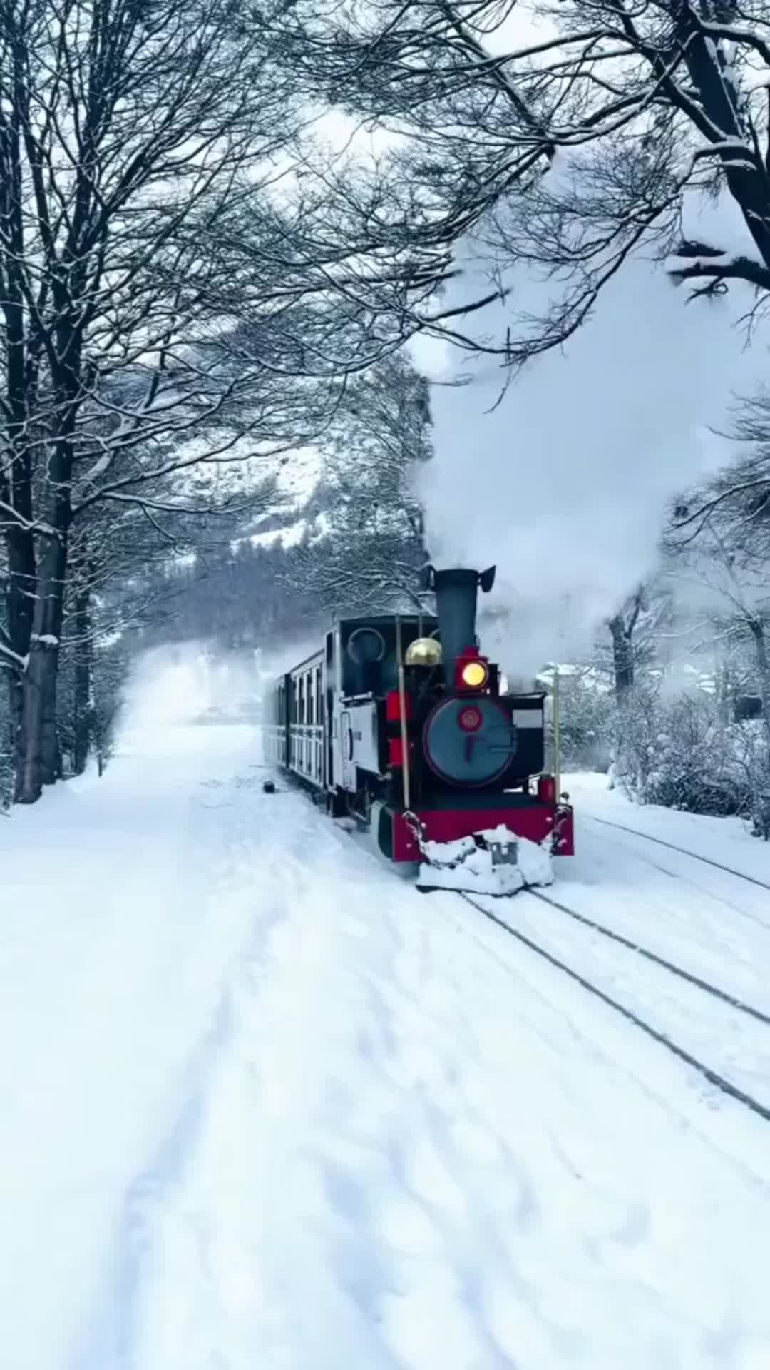 This may contain: a train traveling down tracks in the middle of snow covered ground with trees on both sides