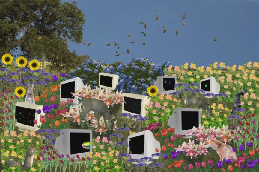 This may contain: there are many tvs in the field with flowers