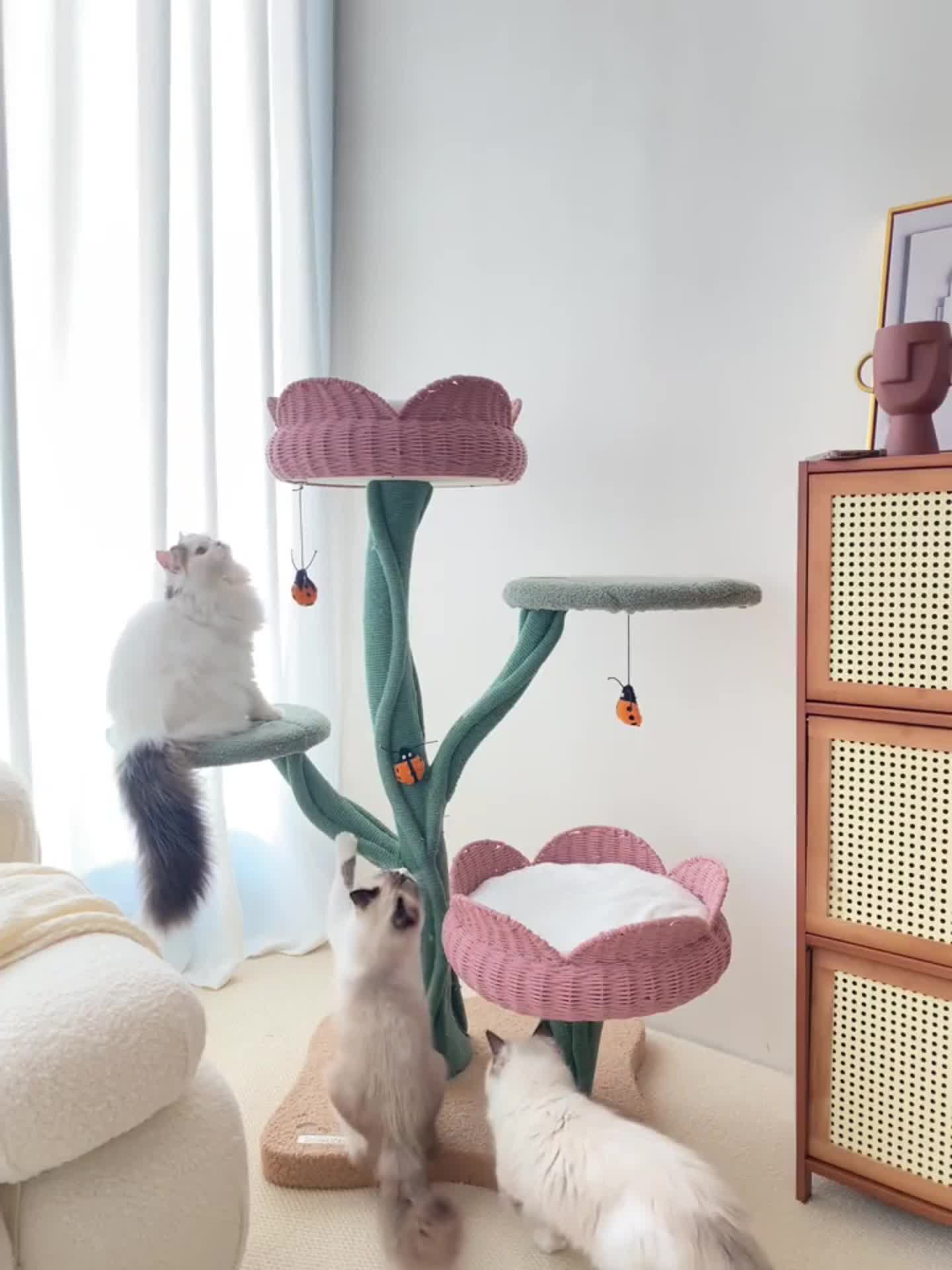 This may contain: two cats are sitting on top of the cat tree in this living room, and one is playing with his toys