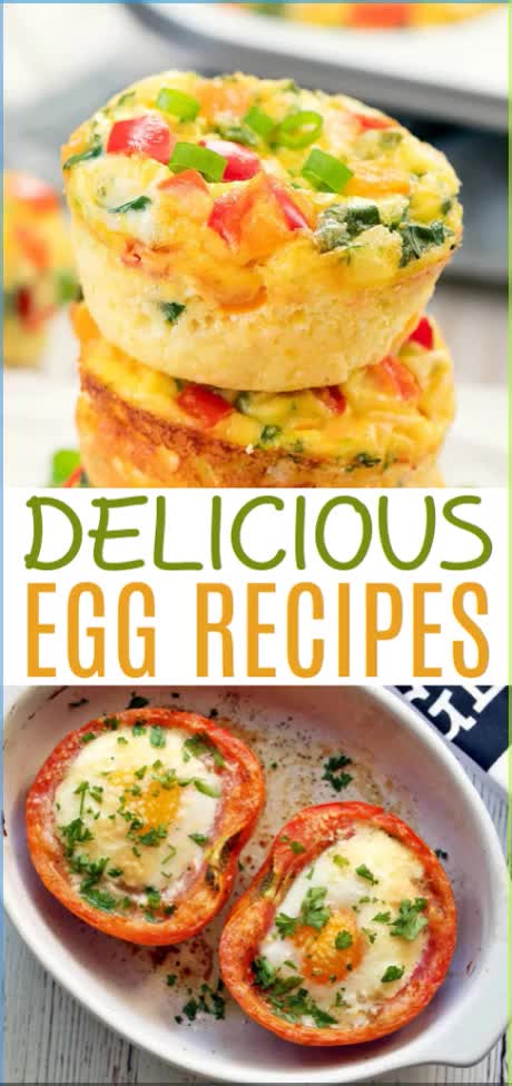 This may contain: delicious egg recipes that are easy to make