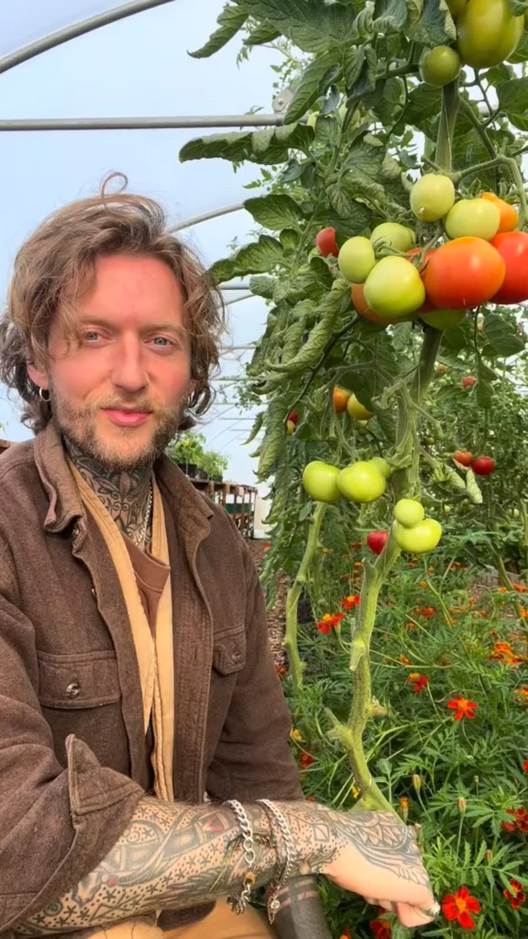 This may contain: a man with tattoos sitting in front of a tomato plant and tomatoes hanging from it