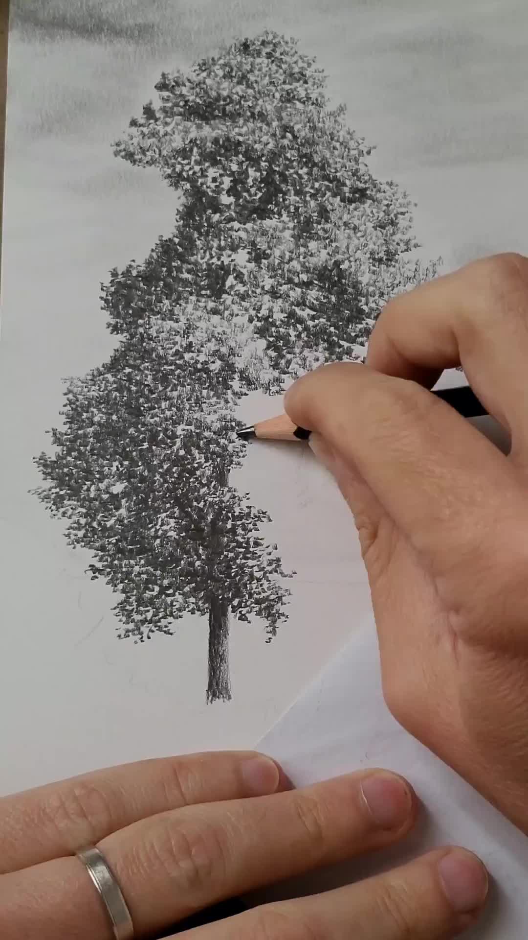 This may contain: someone is drawing a tree with pencils on paper