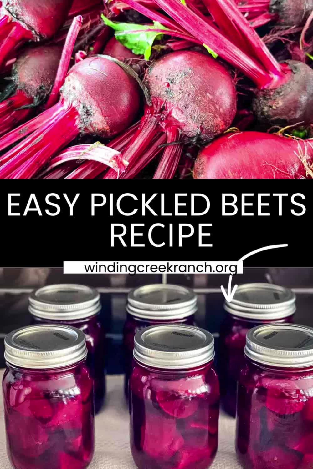 This contains: Jars of easy pickled beets with vibrant colors, ready for storing.